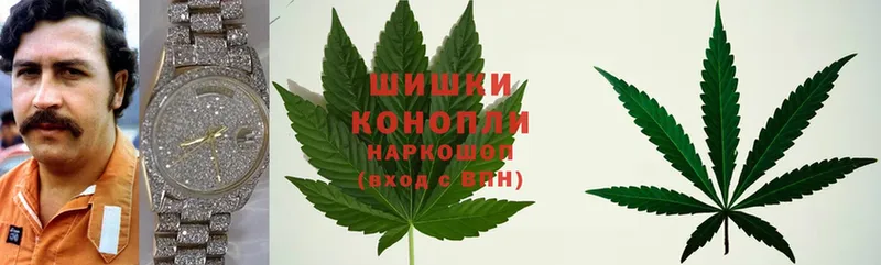 KRAKEN маркетплейс  Остров  Бошки марихуана White Widow  где найти наркотики 